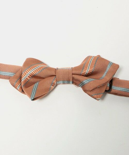green label relaxing / グリーンレーベル リラクシング その他小物 | ボウタイ チーフ セット（ストライプ） / キッズ  手洗い可能 | 詳細2