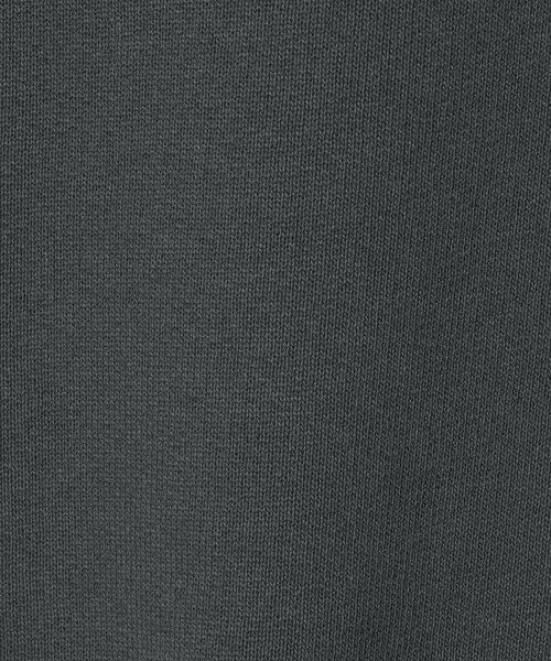 green label relaxing / グリーンレーベル リラクシング スウェット | EGON SCHIELE クルーネック スウェット | 詳細11