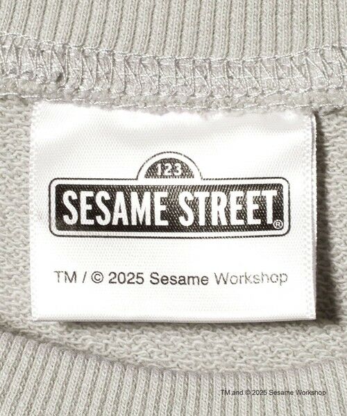 green label relaxing / グリーンレーベル リラクシング スウェット | 【別注】<SESAME STREET>GLR クルーネック スウェット | 詳細9