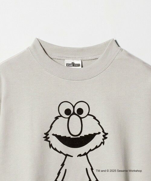 green label relaxing / グリーンレーベル リラクシング スウェット | 【別注】<SESAME STREET>GLR クルーネック スウェット | 詳細18