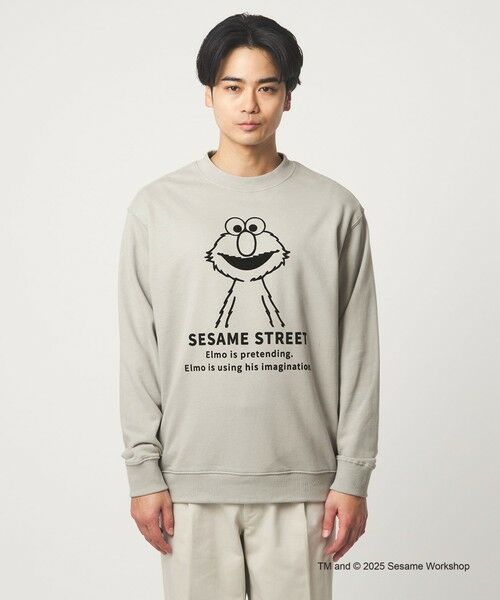 green label relaxing / グリーンレーベル リラクシング スウェット | 【別注】<SESAME STREET>GLR クルーネック スウェット | 詳細13