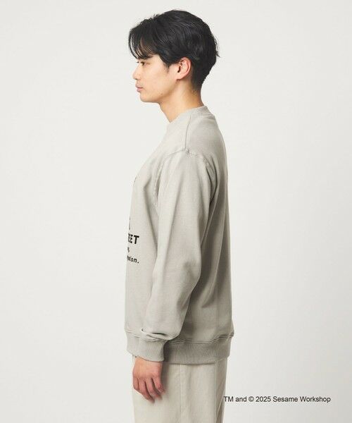 green label relaxing / グリーンレーベル リラクシング スウェット | 【別注】<SESAME STREET>GLR クルーネック スウェット | 詳細14