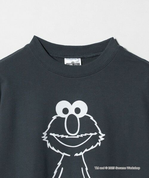 green label relaxing / グリーンレーベル リラクシング スウェット | 【別注】<SESAME STREET>GLR クルーネック スウェット | 詳細23