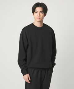 green label relaxing / グリーンレーベル リラクシング ニット・セーター | コットン シルク ミラノリブ クルーネック ニット