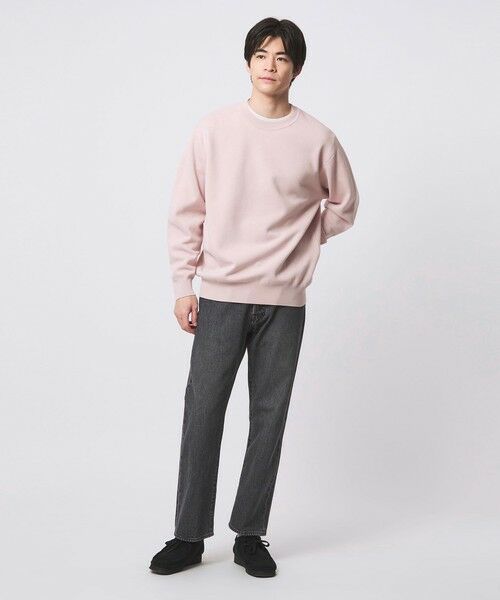 green label relaxing / グリーンレーベル リラクシング ニット・セーター | コットン シルク ミラノリブ クルーネック ニット | 詳細25