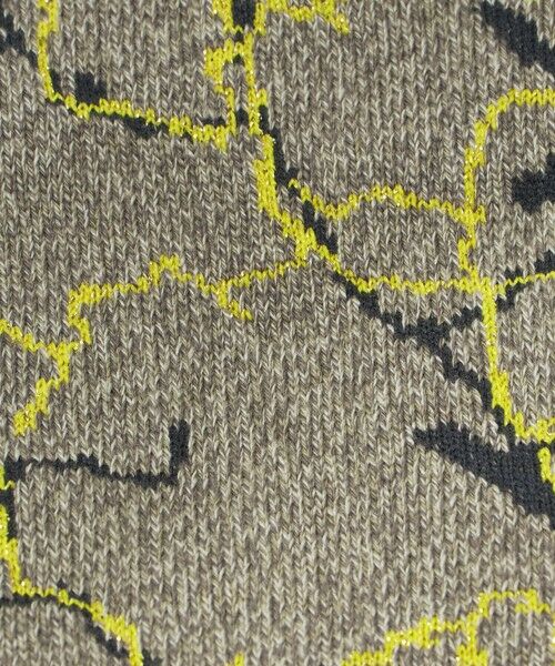 green label relaxing / グリーンレーベル リラクシング ソックス | ＜ROSTER SOX＞Lightning ソックス | 詳細1