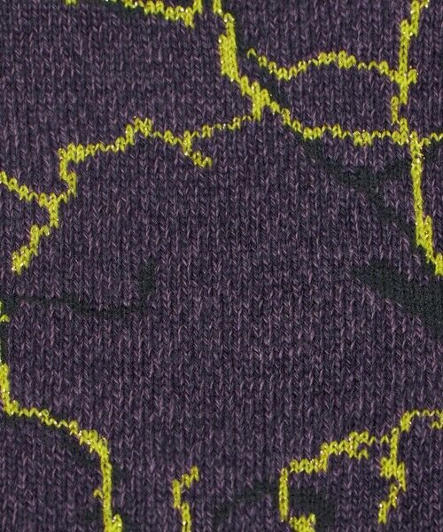 green label relaxing / グリーンレーベル リラクシング ソックス | ＜ROSTER SOX＞Lightning ソックス | 詳細4