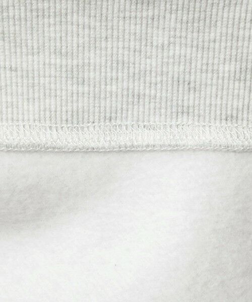 green label relaxing / グリーンレーベル リラクシング パーカー | 【WEB限定】＜at ease＞エンブロイダリ— フーディ— | 詳細24