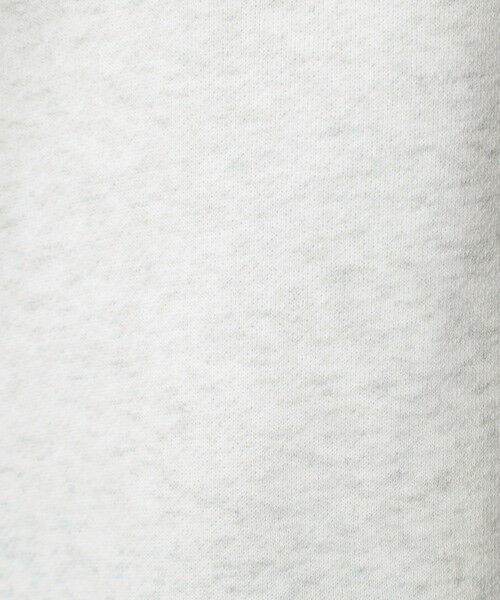 green label relaxing / グリーンレーベル リラクシング パーカー | 【WEB限定】＜at ease＞エンブロイダリ— フーディ— | 詳細26