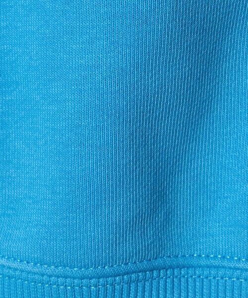 green label relaxing / グリーンレーベル リラクシング スウェット | 【別注】＜URBAMENT＞TOM AND JERRY スウェット / トレーナー  / キッズ  100cm-130cm | 詳細9