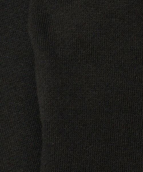 green label relaxing / グリーンレーベル リラクシング スウェット | 【別注】＜SESAME STREET＞裏毛 プルオーバー / トレーナー / キッズ  100cm-130cm | 詳細4