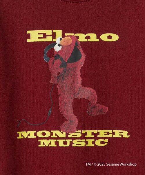 green label relaxing / グリーンレーベル リラクシング スウェット | 【別注】＜SESAME STREET＞裏毛 プルオーバー / トレーナー / キッズ  100cm-130cm | 詳細7