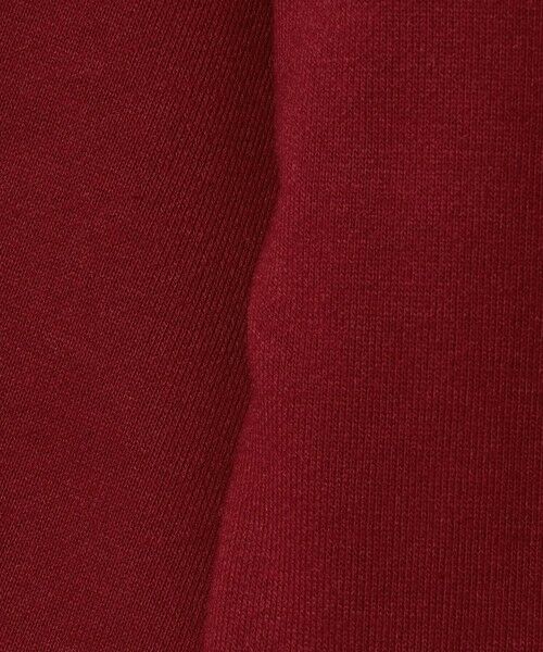 green label relaxing / グリーンレーベル リラクシング スウェット | 【別注】＜SESAME STREET＞裏毛 プルオーバー / トレーナー / キッズ  100cm-130cm | 詳細8