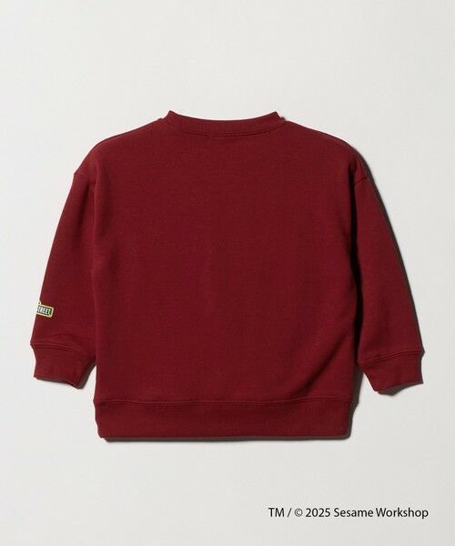 green label relaxing / グリーンレーベル リラクシング スウェット | 【別注】＜SESAME STREET＞裏毛 プルオーバー / トレーナー / キッズ  100cm-130cm | 詳細5