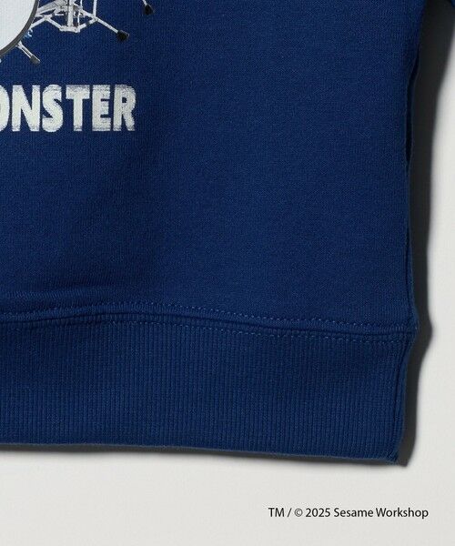 green label relaxing / グリーンレーベル リラクシング スウェット | 【別注】＜SESAME STREET＞裏毛 プルオーバー / トレーナー / キッズ  100cm-130cm | 詳細12
