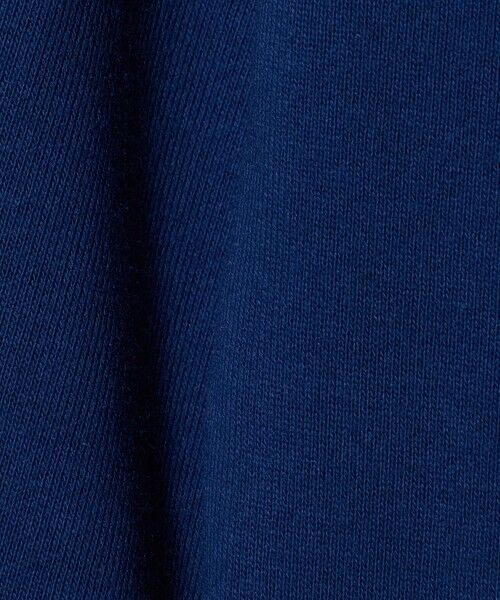 green label relaxing / グリーンレーベル リラクシング スウェット | 【別注】＜SESAME STREET＞裏毛 プルオーバー / トレーナー / キッズ  100cm-130cm | 詳細15