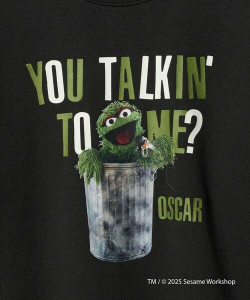 green label relaxing / グリーンレーベル リラクシング スウェット | 【別注】＜SESAME STREET＞裏毛 プルオーバー / トレーナー / キッズ  140cm-150cm | 詳細3