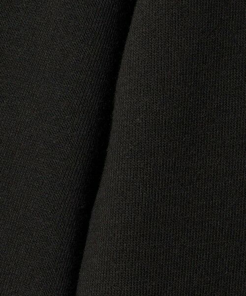 green label relaxing / グリーンレーベル リラクシング スウェット | 【別注】＜SESAME STREET＞裏毛 プルオーバー / トレーナー / キッズ  140cm-150cm | 詳細4