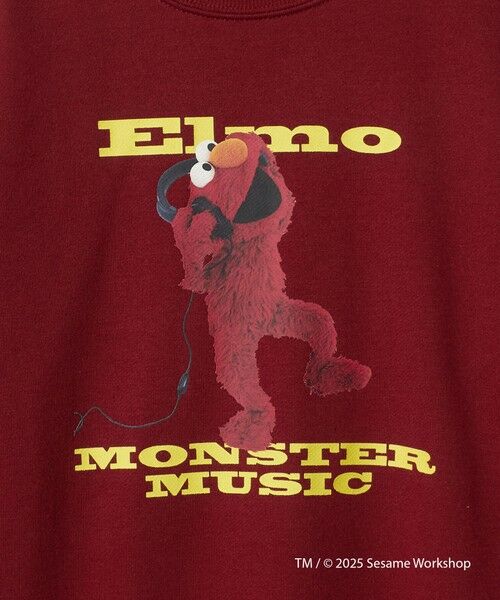 green label relaxing / グリーンレーベル リラクシング スウェット | 【別注】＜SESAME STREET＞裏毛 プルオーバー / トレーナー / キッズ  140cm-150cm | 詳細7