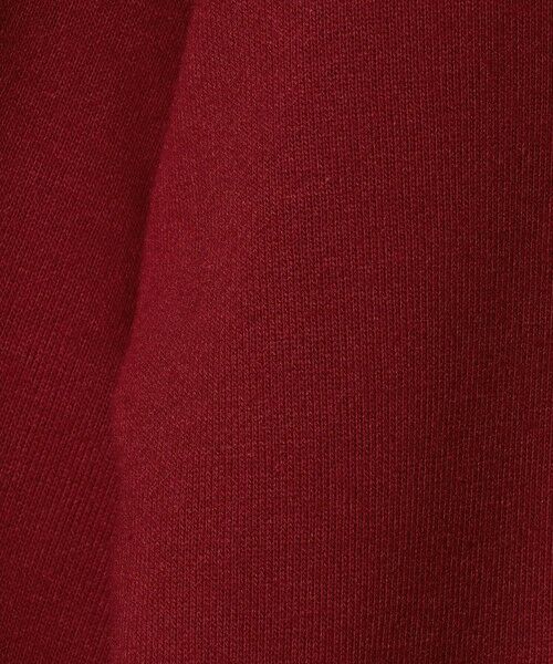 green label relaxing / グリーンレーベル リラクシング スウェット | 【別注】＜SESAME STREET＞裏毛 プルオーバー / トレーナー / キッズ  140cm-150cm | 詳細8