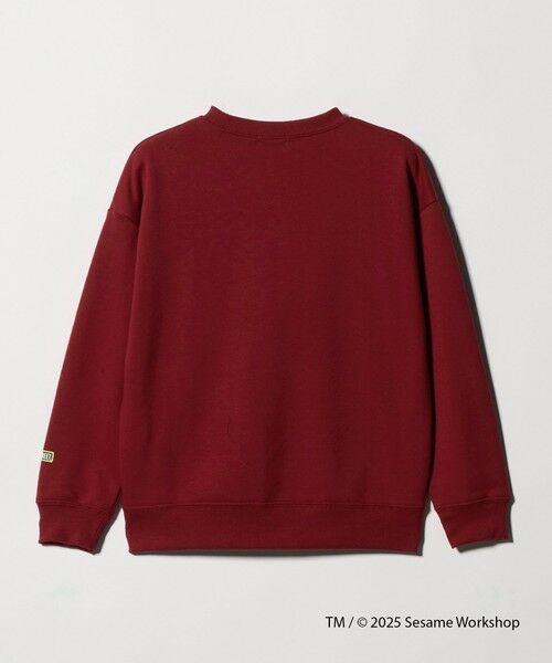 green label relaxing / グリーンレーベル リラクシング スウェット | 【別注】＜SESAME STREET＞裏毛 プルオーバー / トレーナー / キッズ  140cm-150cm | 詳細5