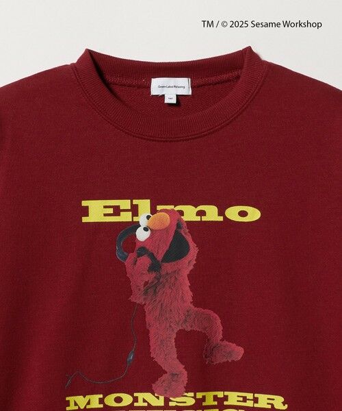 green label relaxing / グリーンレーベル リラクシング スウェット | 【別注】＜SESAME STREET＞裏毛 プルオーバー / トレーナー / キッズ  140cm-150cm | 詳細6
