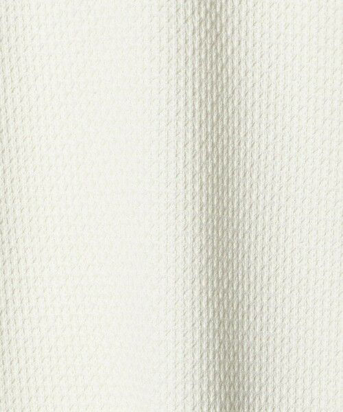 green label relaxing / グリーンレーベル リラクシング カットソー | クリア ラッセル クルーネック カットソー | 詳細3