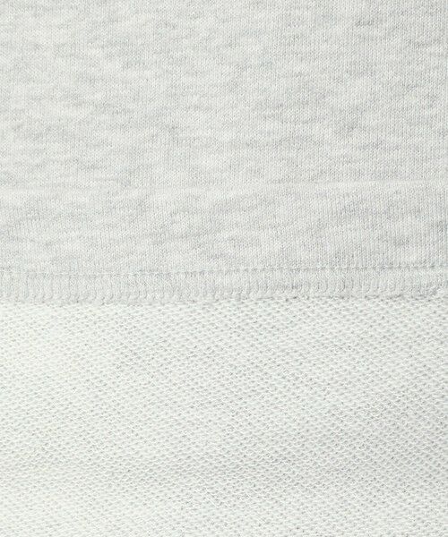 green label relaxing / グリーンレーベル リラクシング スウェット | 【別注】＜Champion＞クルーネック 長袖 スウェット | 詳細5