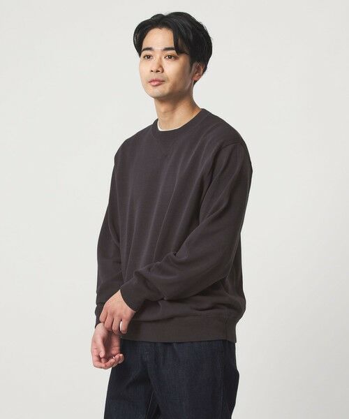 green label relaxing / グリーンレーベル リラクシング ニット・セーター | コットン シルク ミックス インレイ クルーネック ニット（DK.GRAY）