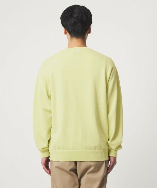 green label relaxing / グリーンレーベル リラクシング ニット・セーター | コットン シルク ミックス インレイ クルーネック ニット | 詳細10