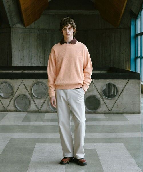 green label relaxing / グリーンレーベル リラクシング ニット・セーター | フェード アゼ クルーネック ニット | 詳細8