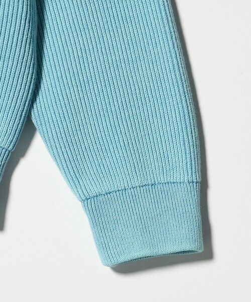 green label relaxing / グリーンレーベル リラクシング ニット・セーター | フェード アゼ クルーネック ニット | 詳細13