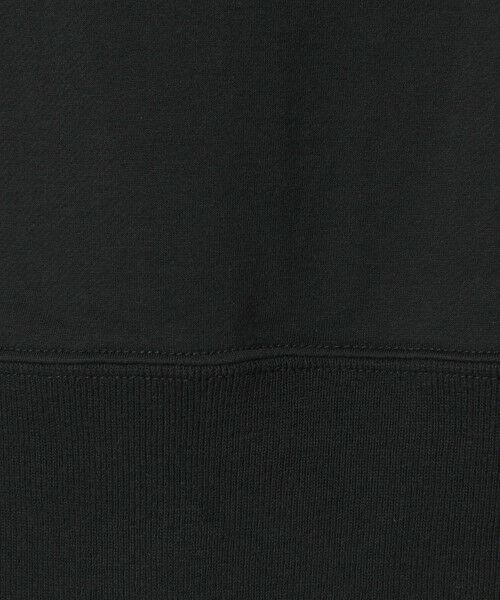 green label relaxing / グリーンレーベル リラクシング スウェット | ＜SEASONAL COLLECTION＞ハイゲージ ウラケ プルオーバー | 詳細13