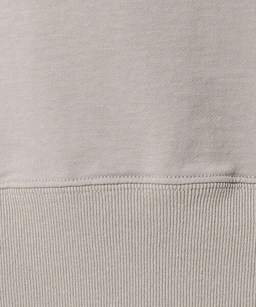 green label relaxing / グリーンレーベル リラクシング スウェット | ＜SEASONAL COLLECTION＞ハイゲージ ウラケ プルオーバー | 詳細19