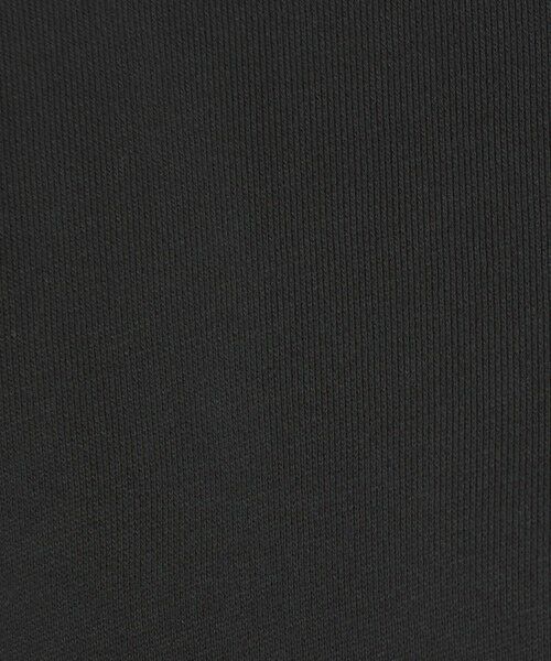 green label relaxing / グリーンレーベル リラクシング スウェット | 【別注】＜Champion＞ロングスリーブ スウェット プルオーバー | 詳細3