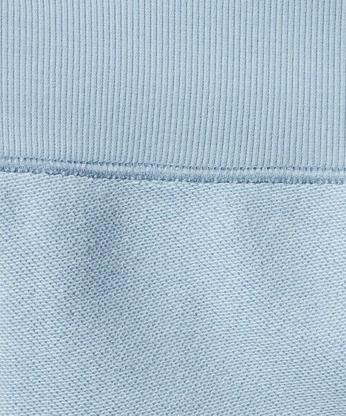 green label relaxing / グリーンレーベル リラクシング スウェット | 【別注】＜Champion＞ロングスリーブ スウェット プルオーバー | 詳細27