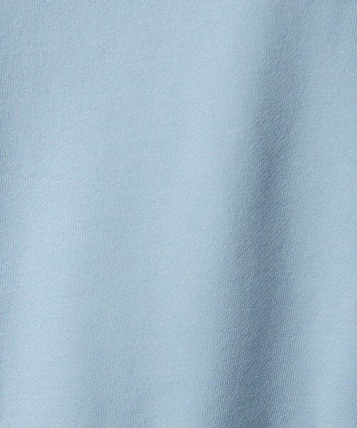 green label relaxing / グリーンレーベル リラクシング スウェット | 【別注】＜Champion＞ロングスリーブ スウェット プルオーバー | 詳細28