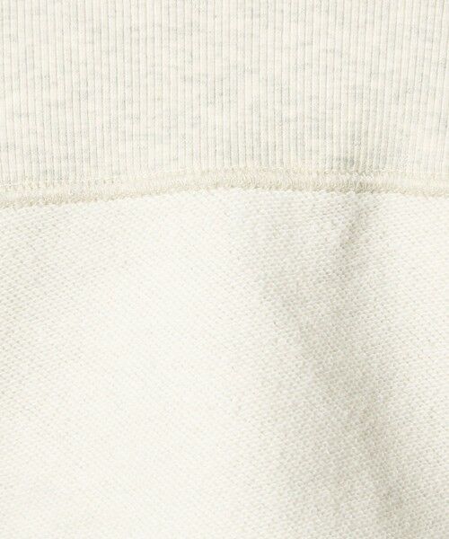 green label relaxing / グリーンレーベル リラクシング スウェット | 【別注】＜Champion＞プリント スウェット プルオーバー | 詳細28