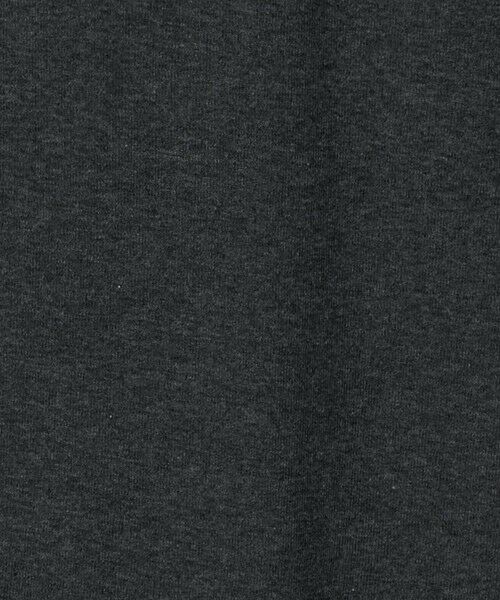 green label relaxing / グリーンレーベル リラクシング カットソー | 【別注】＜PETIT BATEAU＞ロングスリーブ プリント Tシャツ | 詳細10