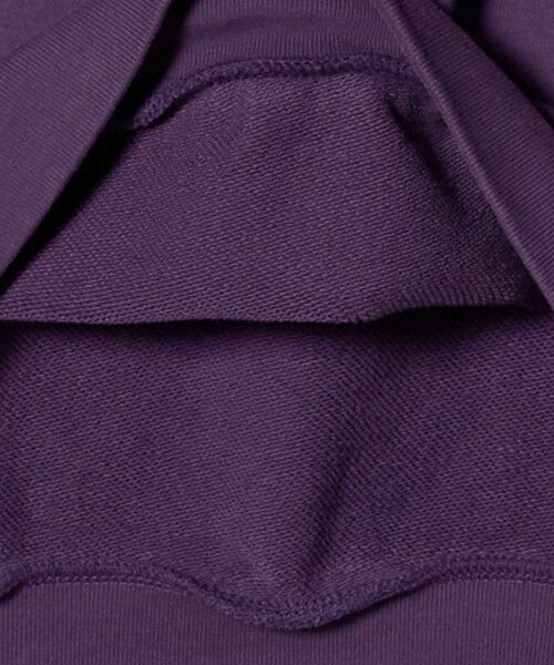 green label relaxing / グリーンレーベル リラクシング スウェット | 【別注】＜Odub＞スウェット プルオーバー | 詳細25