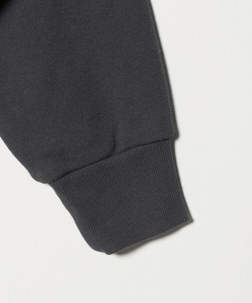 green label relaxing / グリーンレーベル リラクシング スウェット | フェード カレッジ ロゴ スウェット プルオーバー | 詳細11