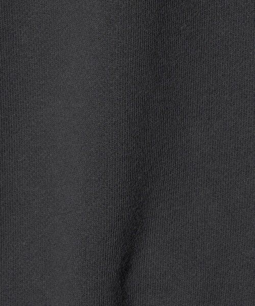 green label relaxing / グリーンレーベル リラクシング スウェット | フェード カレッジ ロゴ スウェット プルオーバー | 詳細14