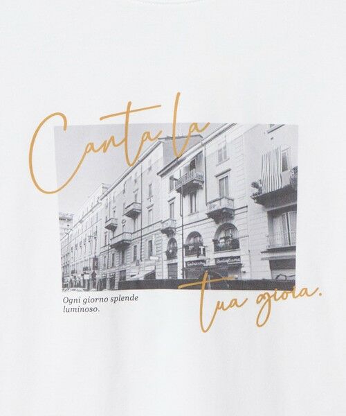 green label relaxing / グリーンレーベル リラクシング カットソー | アソート グラフィック ロングスリーブ Tシャツ | 詳細18