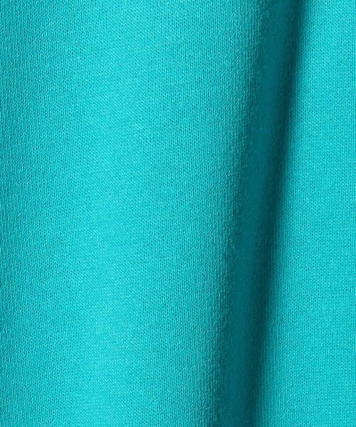 green label relaxing / グリーンレーベル リラクシング スウェット | 【別注】<Disney>裏毛 プルオーバー / キッズ 100cm-130cm | 詳細10