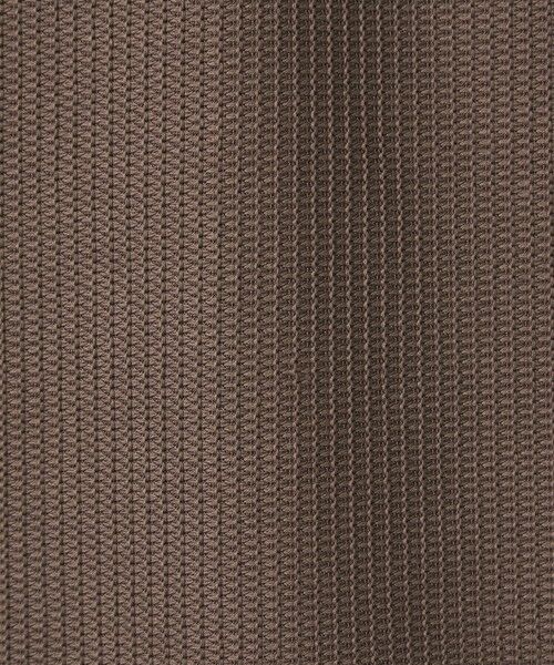 green label relaxing / グリーンレーベル リラクシング ポロシャツ | クリア ラッセル 長袖 ポロシャツ | 詳細9