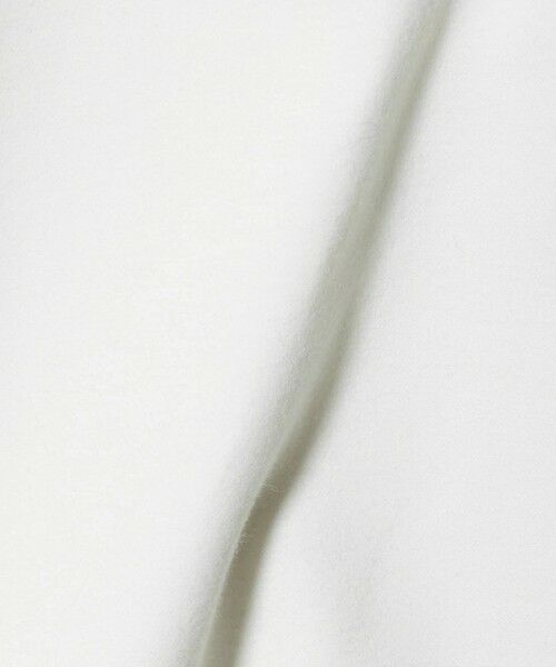 green label relaxing / グリーンレーベル リラクシング カットソー | ALBINI ハイゲージ モクロディ クルーネック カットソー | 詳細6