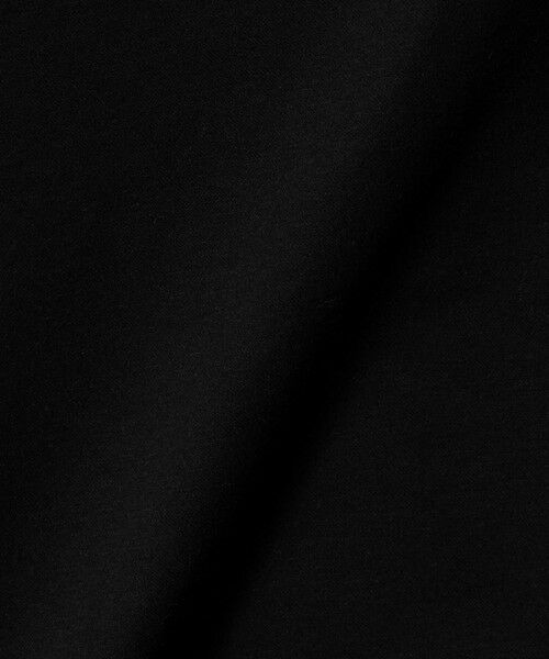 green label relaxing / グリーンレーベル リラクシング カットソー | ALBINI ハイゲージ モクロディ クルーネック カットソー | 詳細11