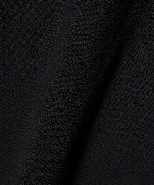 green label relaxing / グリーンレーベル リラクシング カットソー | ＜THE NORTH FACE＞フラッシュドライ ヌプシ ロングスリーブ 長袖 Tシャツ | 詳細13