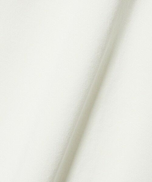 green label relaxing / グリーンレーベル リラクシング カットソー | 【別注】＜DAIWA＞GLR 合繊 ラグラン Tシャツ | 詳細6