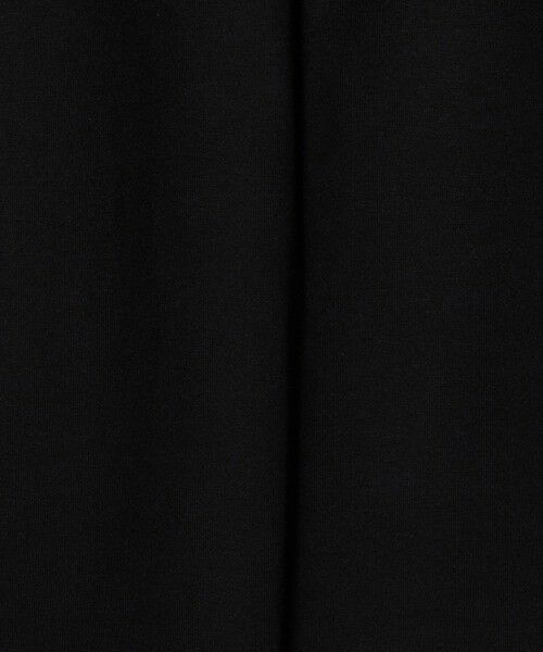 green label relaxing / グリーンレーベル リラクシング Tシャツ | ＜snow peak＞スタンダード ロゴ Tシャツ | 詳細14